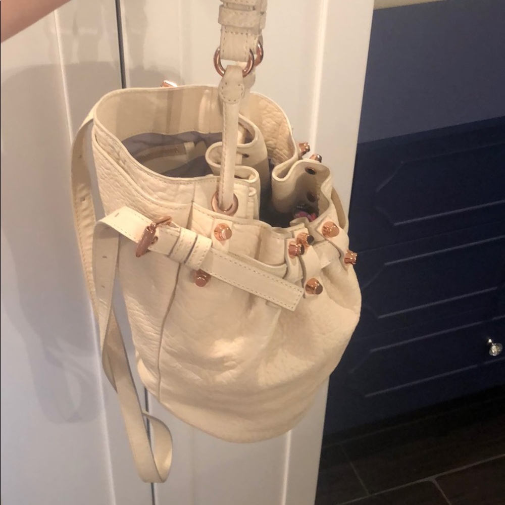 Alexander Wang bullet bag